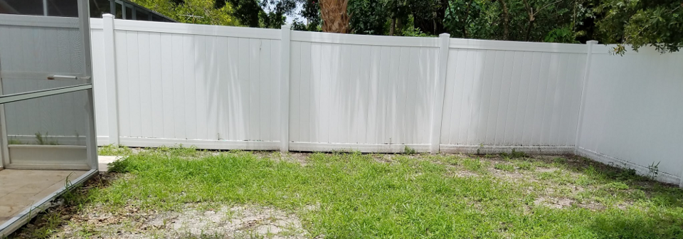 Tropical Backyard Patio Design- Before Photo