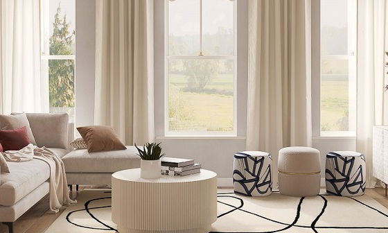 Neutral Living Room with Pop of Color by interior designers in Alexandria, Virginia