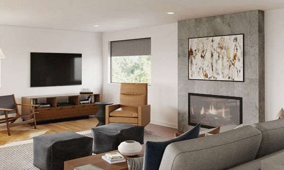 Mid-Century Modern Living Room Design by affordable Bellevue interior designers