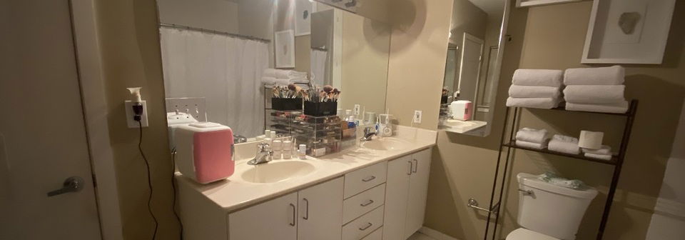 Amazing Modern Bathroom Renovation- Before Photo