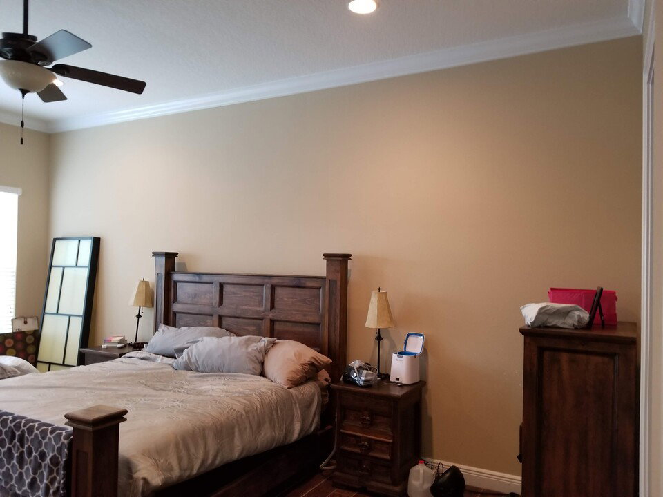 Affordable Bedroom Design interior design