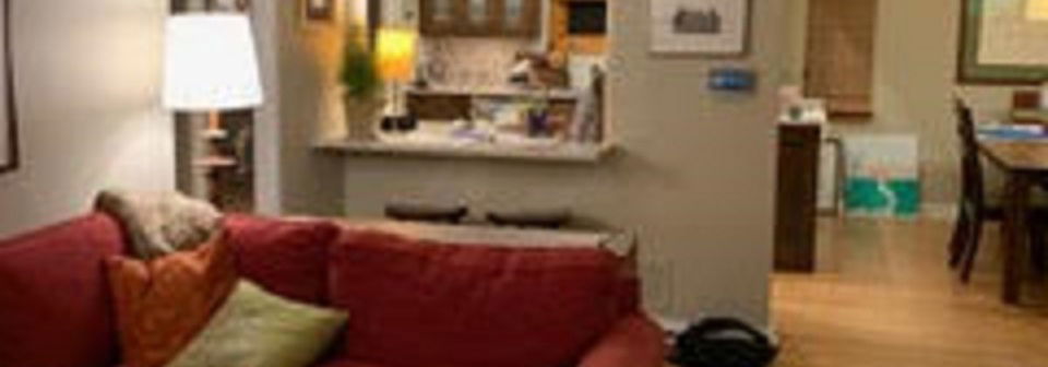 Diseño de interiores de mediados de siglo Sala de estar- Foto antes