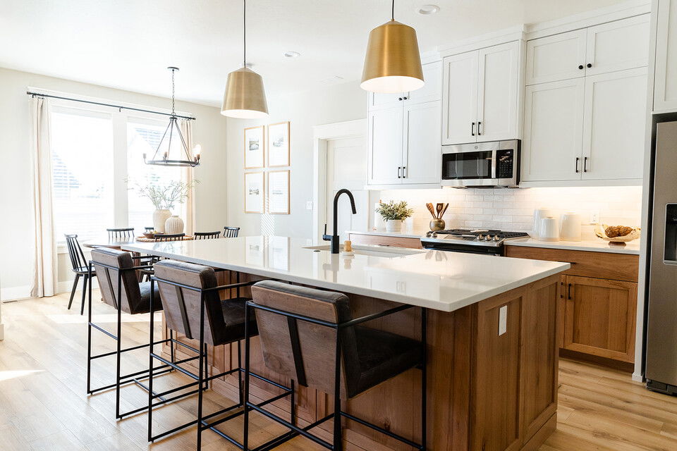 Traditional Modern Kitchen Design 