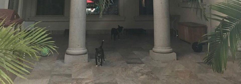 Diseño de Patio de Estilo Bohemio - Inspirado en Marruecos - Foto Antes
