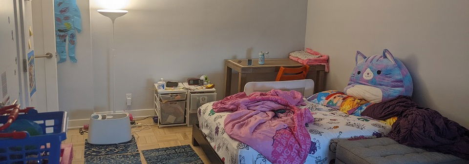 Colorful Eclectic Girl Bedroom Interior Design- Before Photo