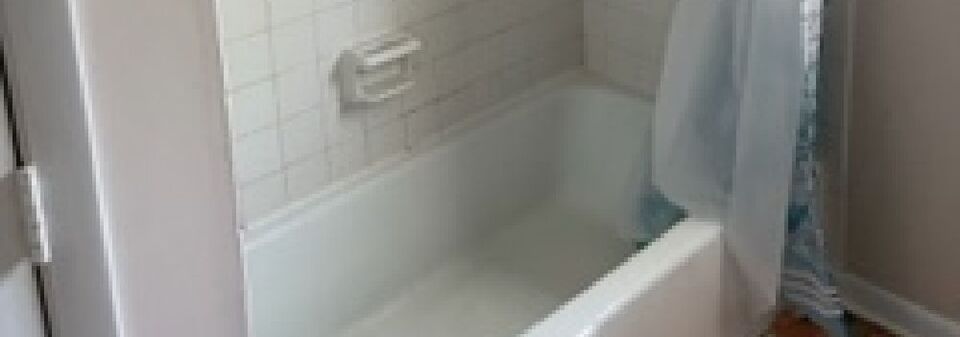 1950s Beautiful Transitional Bathroom Design- Before Photo