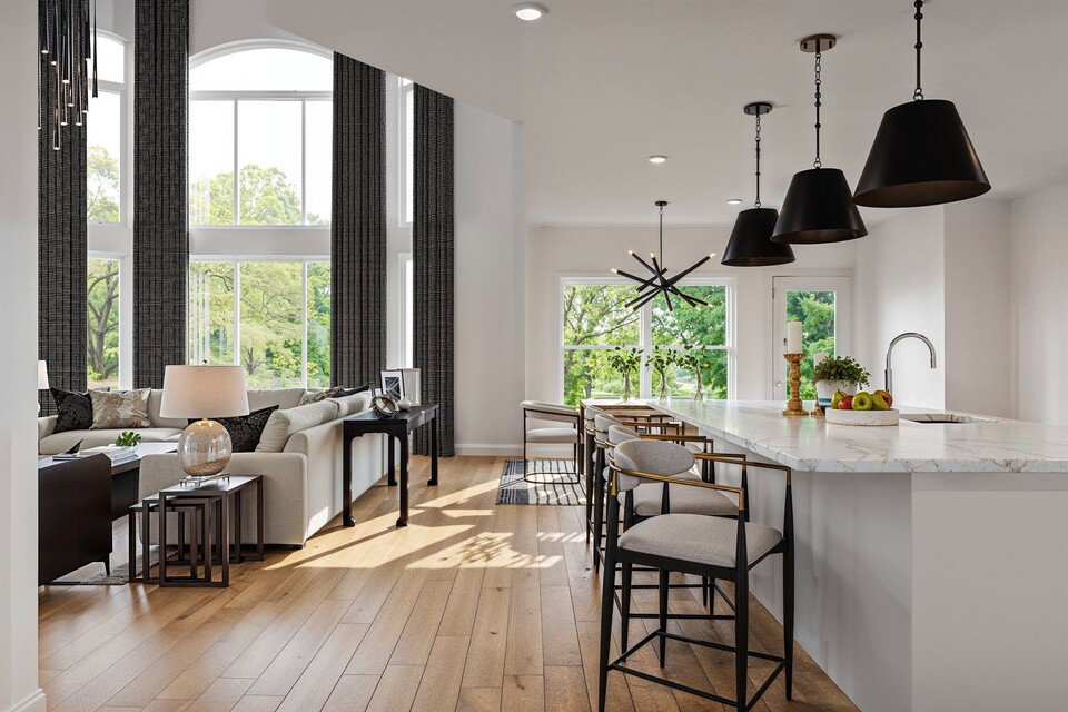 Elegant Black & White Living Room Design