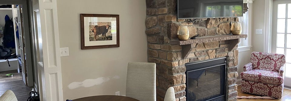Modern Farmhouse Feminine Living Room- Before Photo