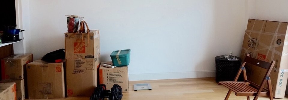 Bright Mid-Century Modern Living Room-Kim - Before