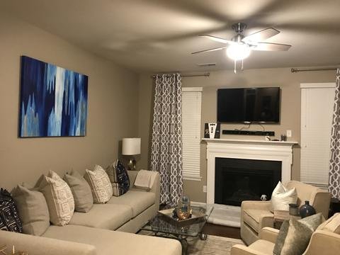 Online design Transitional Living Room by Brooke M. thumbnail