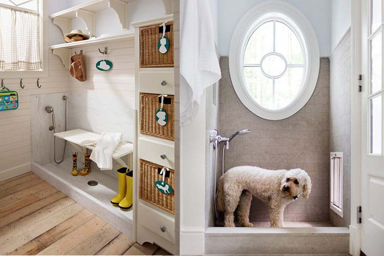 10 Awesome Pet-Friendly Home Inventions | Decorilla Online Interior