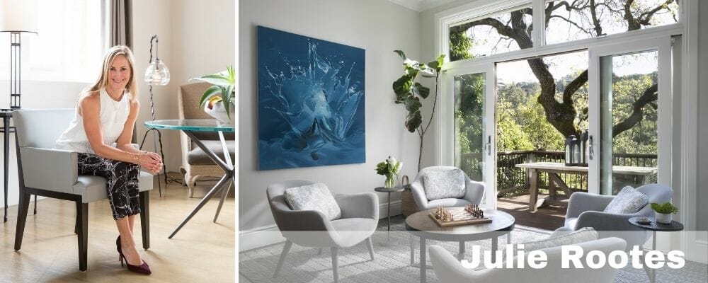 Houzz interior designer san francisco Julie Roots