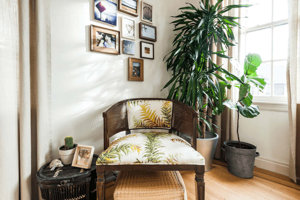 7 Low Maintenance Houseplants That Are Sure To Look Great