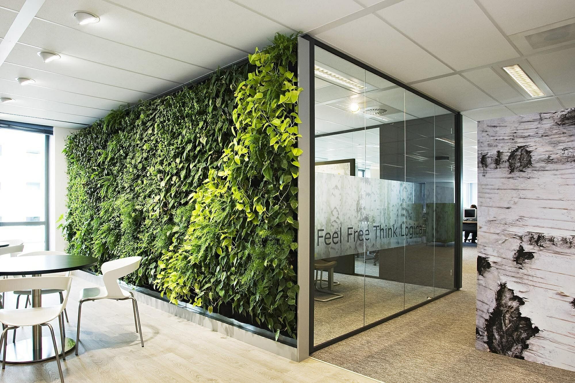 thiết kế văn phòng đương đại thiên nhiên thực vật tường