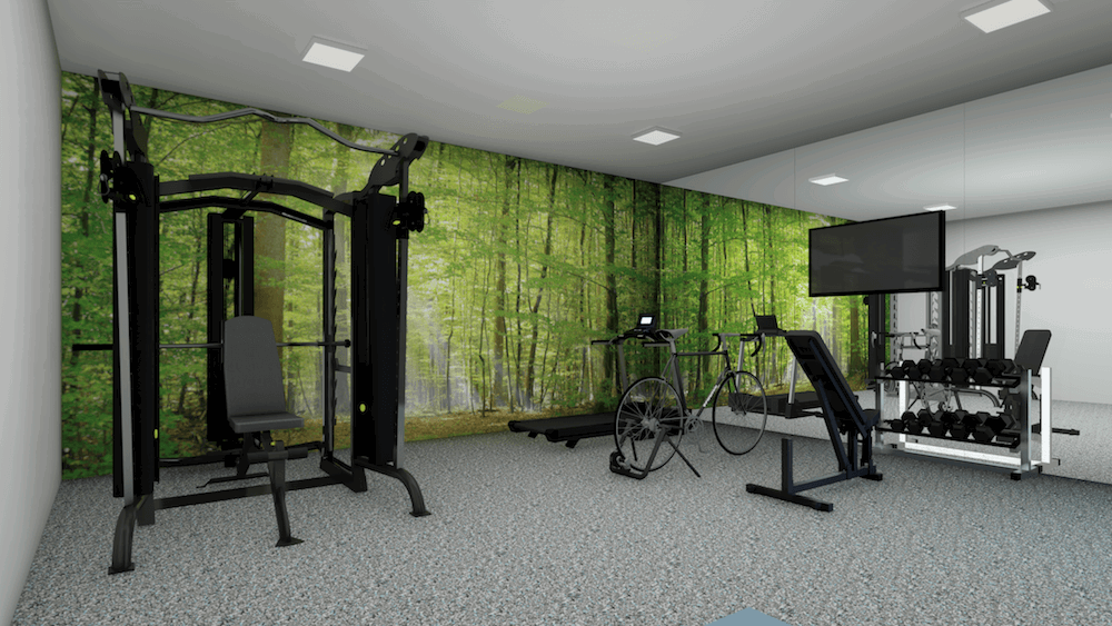 Top 10 Home Gym Design Ideas Tips To Amp Up Your Workout Decorilla   Nature Inspired Home Gym Design Ideas 