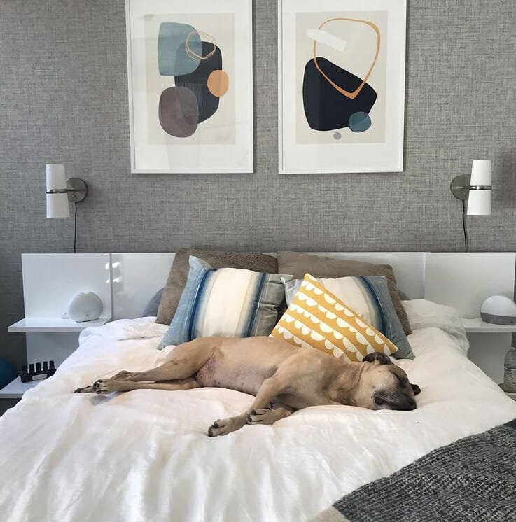 Diseño de interiores de dormitorio de hombre moderno con un perro soñoliento