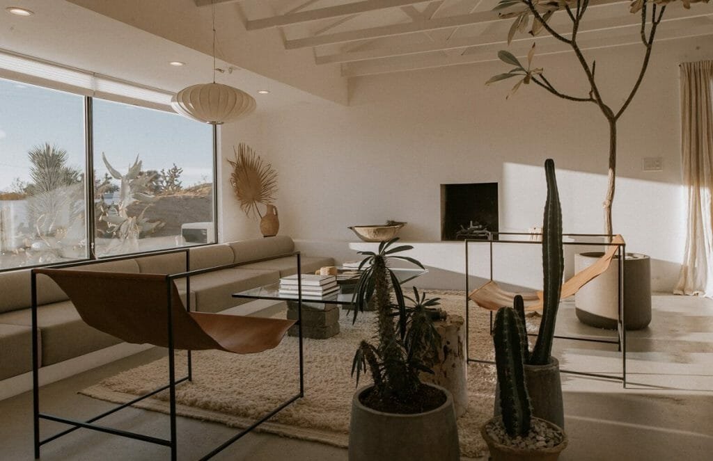 Plants in Interior Design: How to Make Your Home Flourish | Decorilla