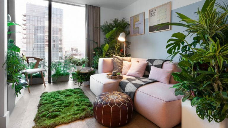 floor plant living room