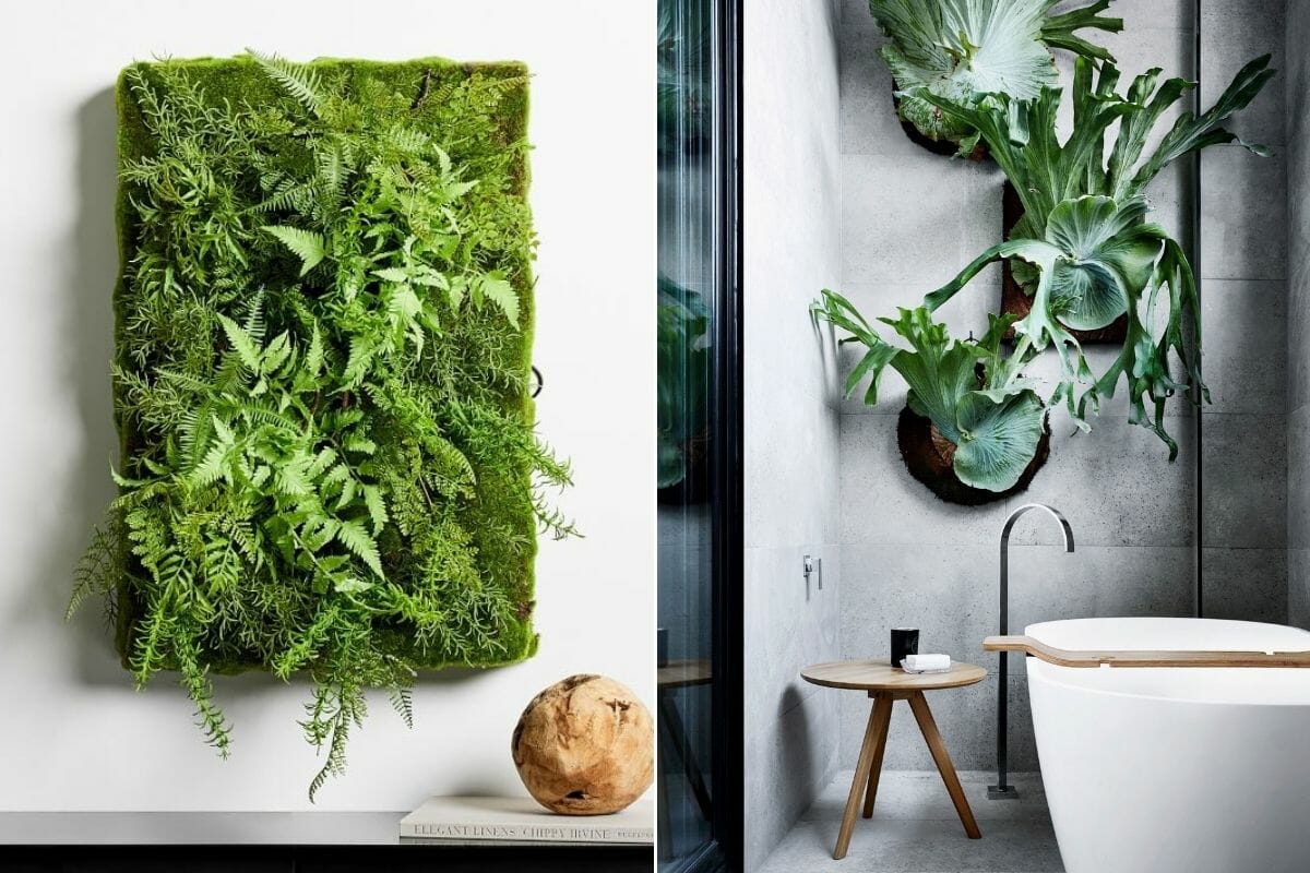Plants in Interior Design How to Make Your Home Flourish Decorilla