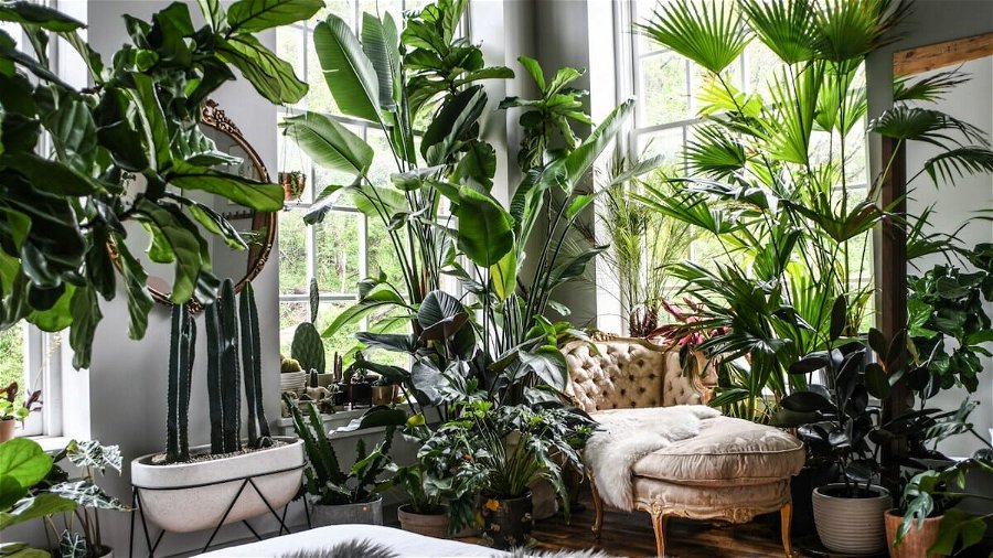Lucious plants in interior design
