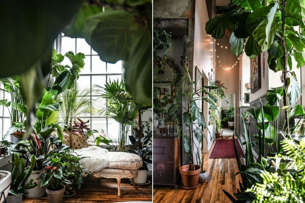 Plants In Interior Design How To Make Your Home Flourish Decorilla   Lush Interior Filled With Indoor Plants Design Coveteur 1024x683 