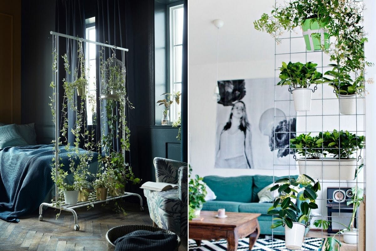 Plants in Interior Design: How to Make Your Home Flourish | Decorilla