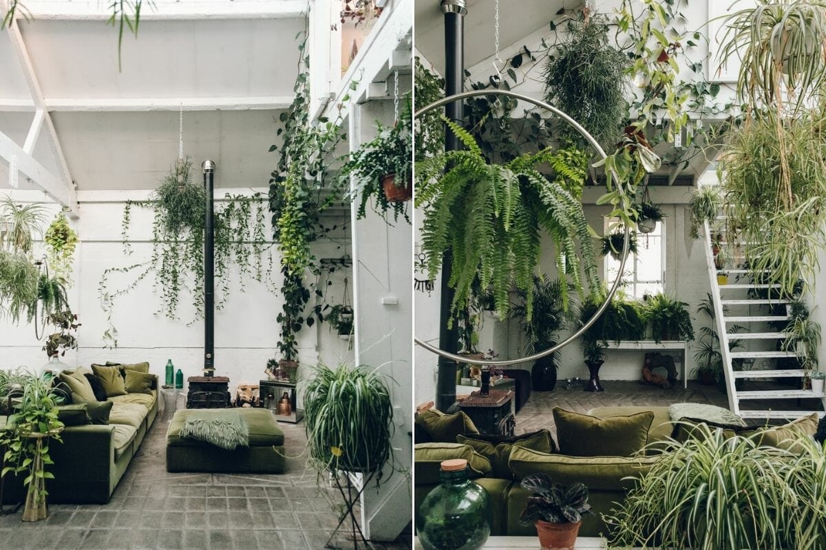 House Plants Interior Design Broadsheet 